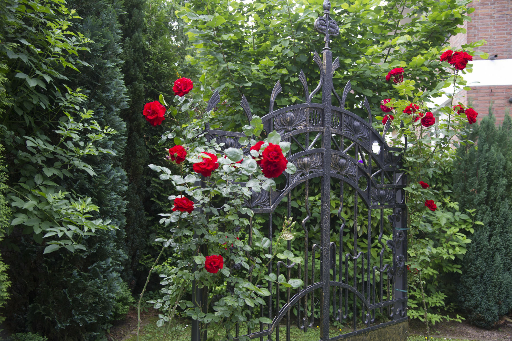 Boutiquehotel Dreesen - Villa Godesberg Bona Exterior foto